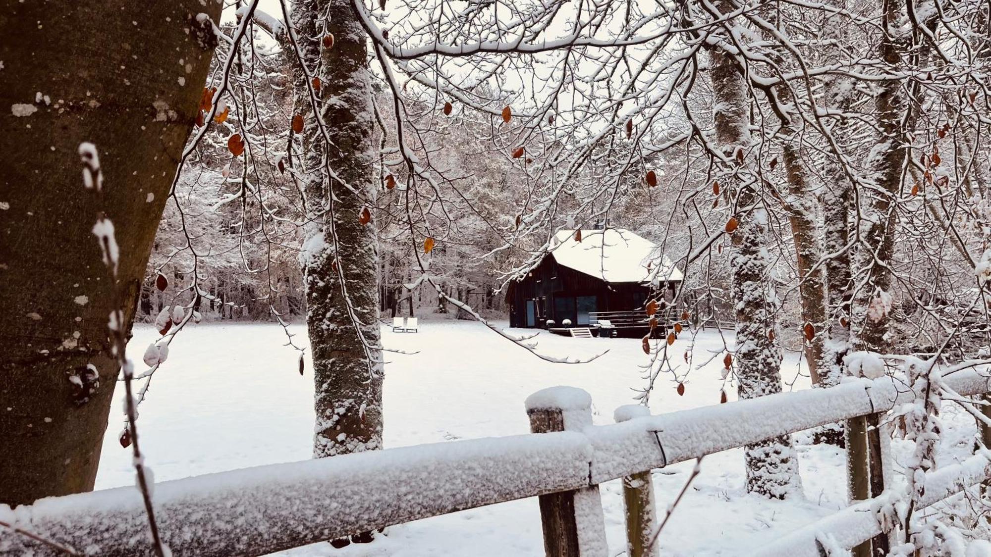 La Cabane D'Amae Marche-en-Famenne Buitenkant foto